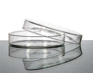 Lots de  Boîtes de Petri en verre