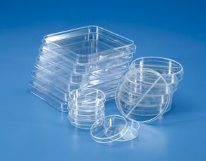 Lots de  Boîtes de Petri en polystyrène