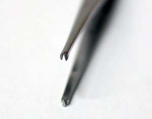 Lots de 10 pinces droites à dissection forte