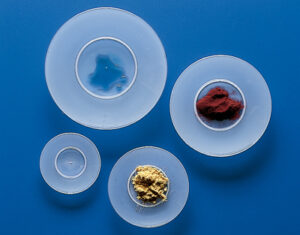 Lots de 10 Verres de montre PP