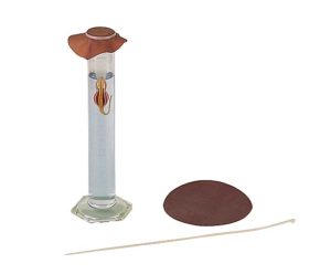 Expérience du ludion