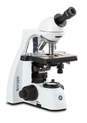 Microscopes Fonds clairs